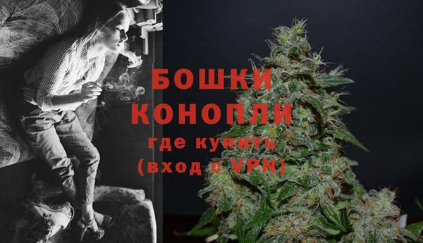 амф Гусь-Хрустальный